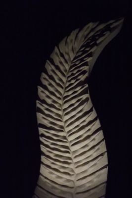 Wavy fern lit up at night
This year I bought some cheap $5 solar lights and lit up some of my sculpture... here's Wavy fern
