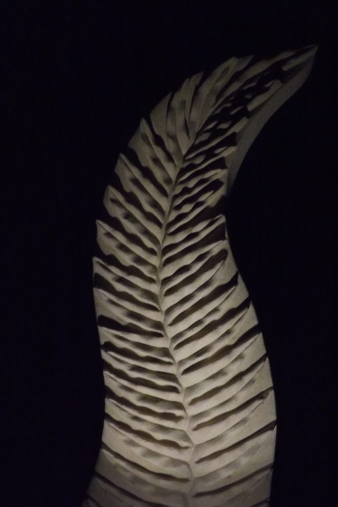 Wavy fern lit up at night