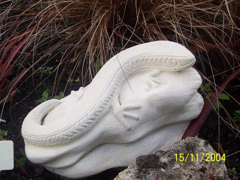 Basking lizard - side view
