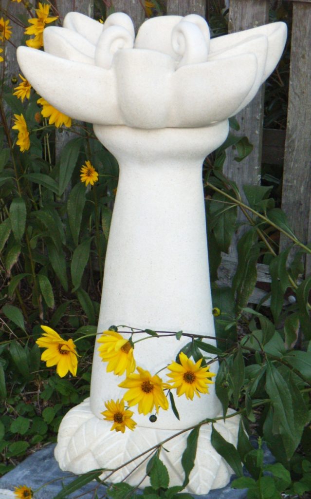 Flora 2