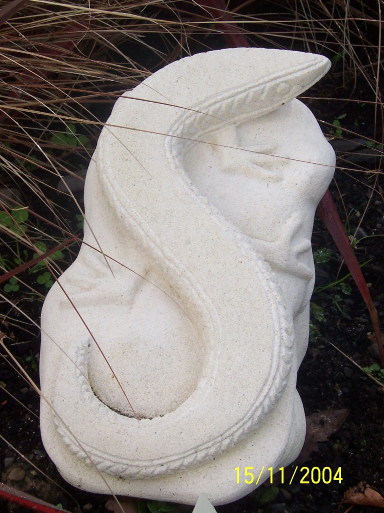 Basking Lizard - back view