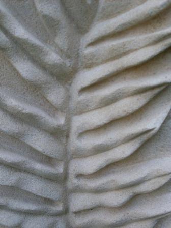 detail fern leaf